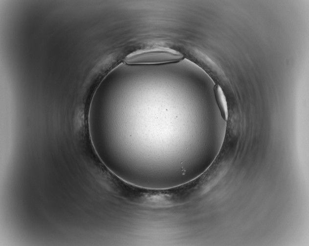 X0000094780407200711301550
