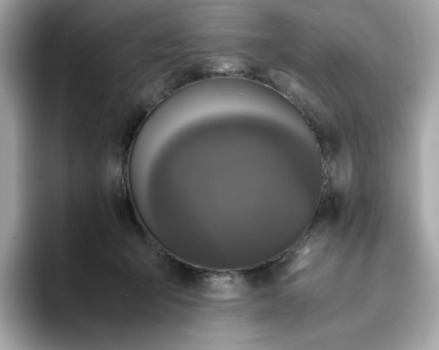 X0000094780415200711301550