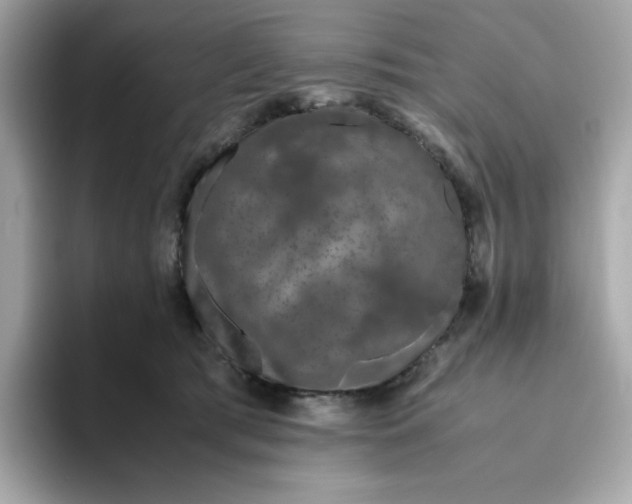 X0000094780417200711301550