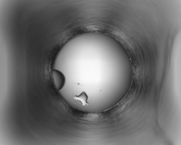 X0000094780418200711301550