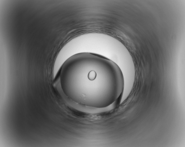 X0000094780421200711301550