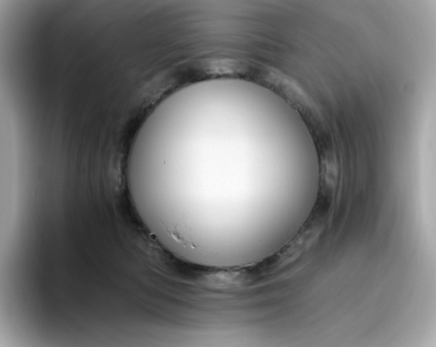 X0000094780422200711301550