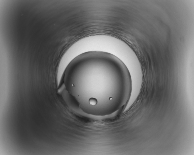 X0000094780423200711301550