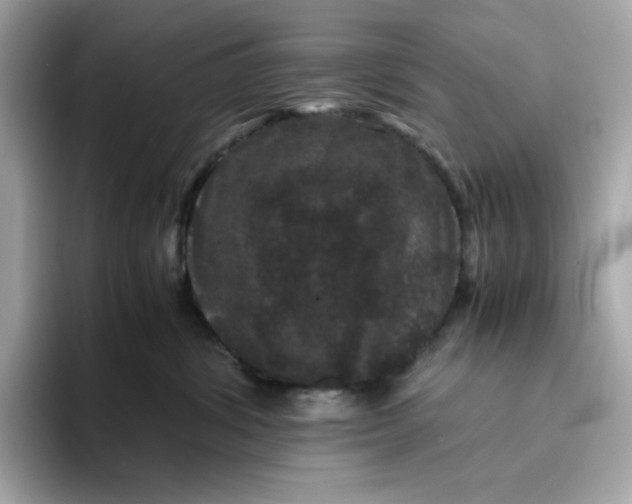 X0000094780428200711301550