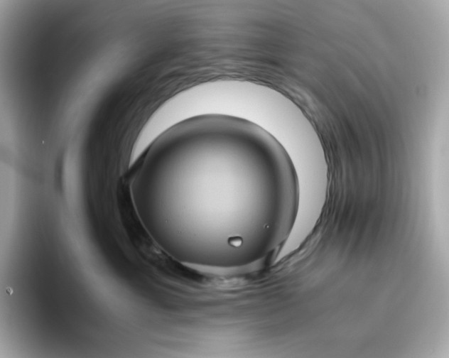 X0000094780429200711301550