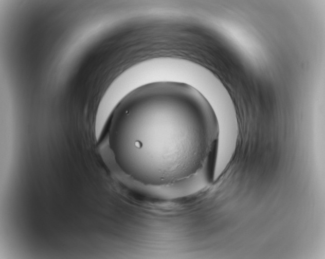 X0000094780431200711301550