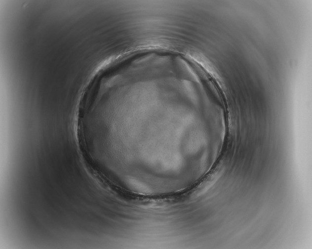 X0000094780434200711301549