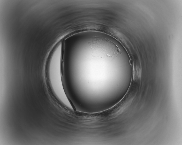 X0000094780435200711301549