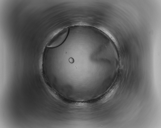 X0000094780437200711301549