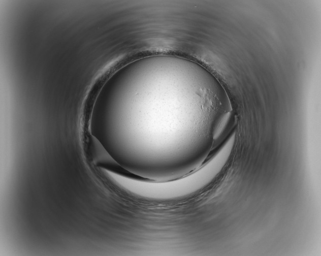 X0000094780440200711301549