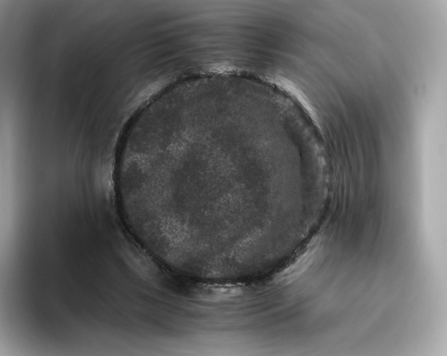 X0000094780443200711301549