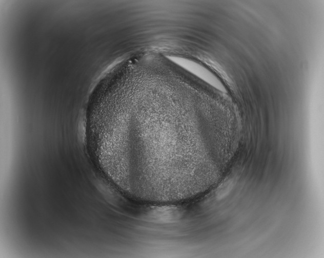 X0000094780446200711301549