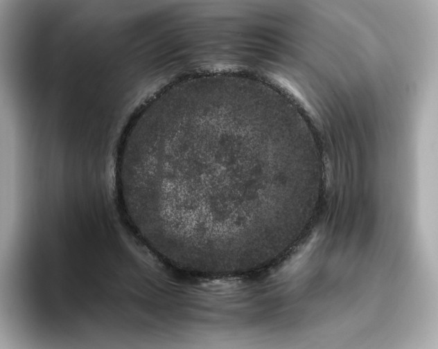 X0000094780447200711301549