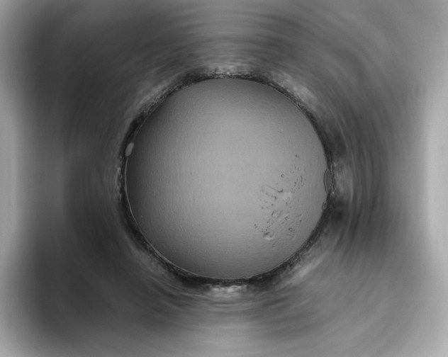 X0000094780450200711301549
