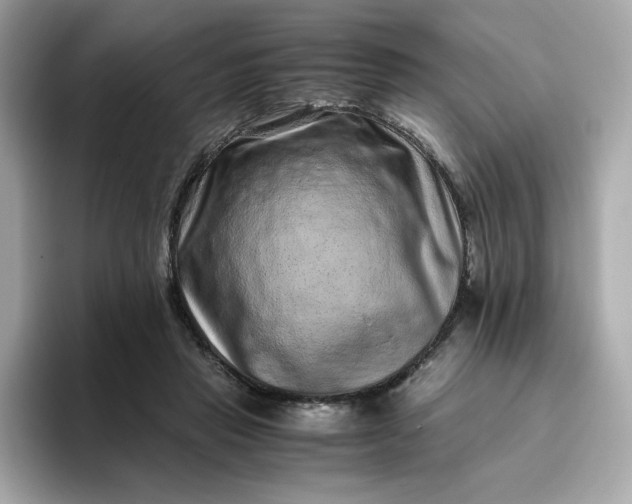X0000094780453200711301549