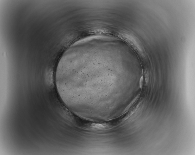 X0000094780457200711301549