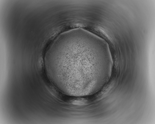 X0000094780459200711301549