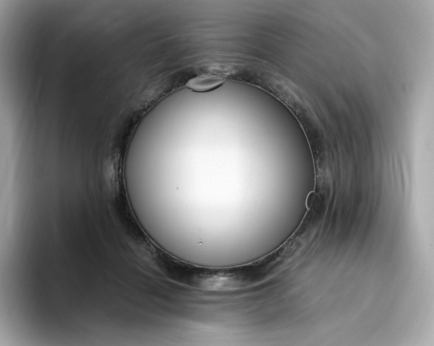 X0000094780460200711301549