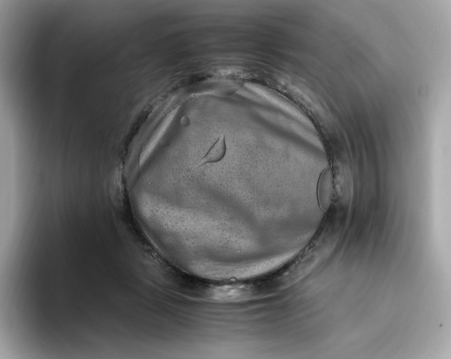 X0000094780461200711301549