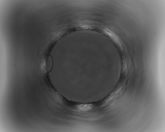 X0000094780465200711301550