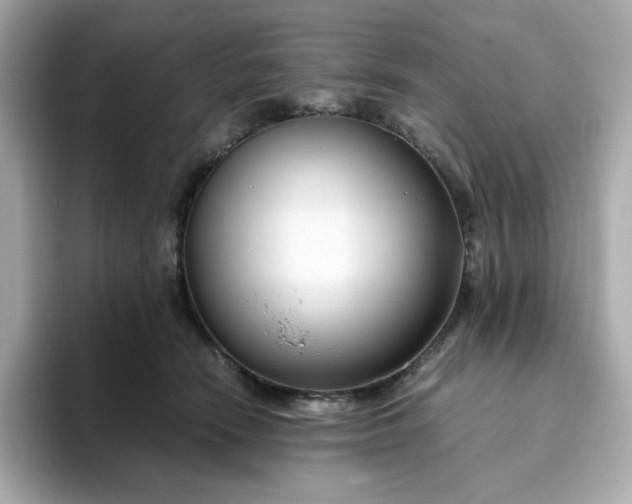 X0000094780466200711301550