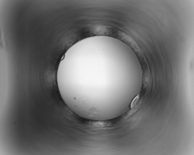 X0000094780473200711301550