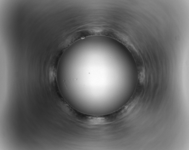 X0000094780476200711301550