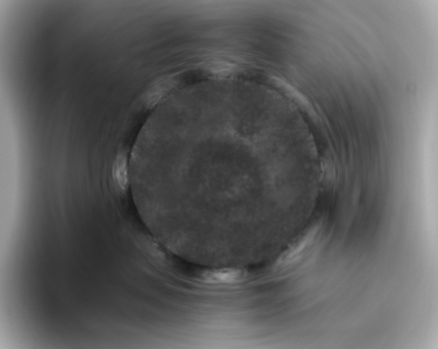 X0000094780479200711301550