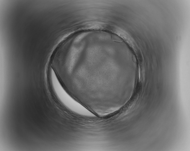 X0000094780483200711301549