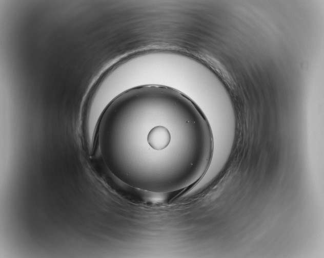 X0000094780484200711301549