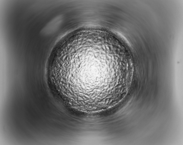 X0000094780487200711301549