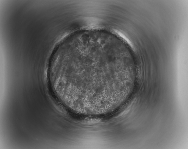 X0000094780491200711301549