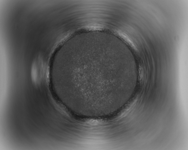 X0000094780494200711301549