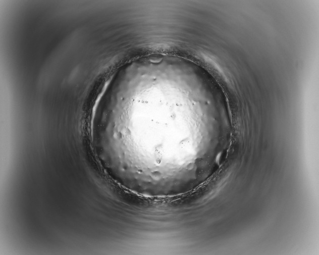 X0000094780495200711301549