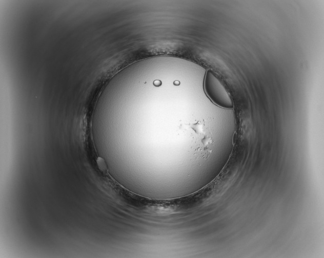 X0000094780498200711301549