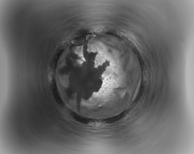 X0000094780503200711301549