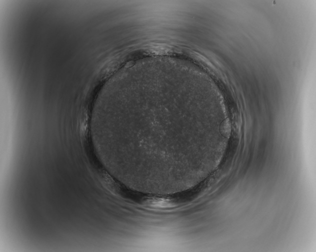 X0000094780507200711301549