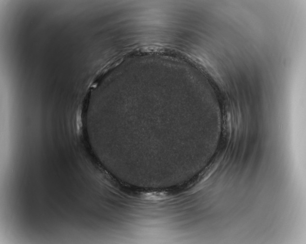 X0000094780508200711301549