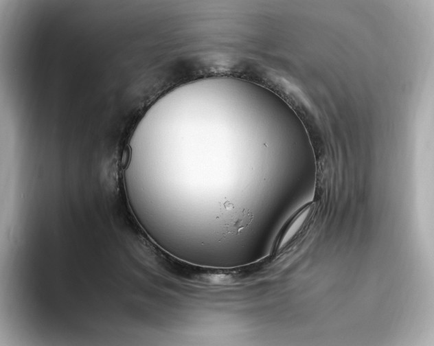X0000094780509200711301549