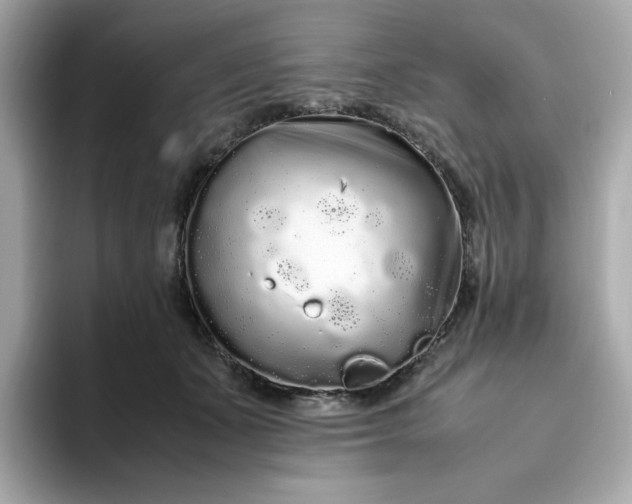 X0000094780511200711301549