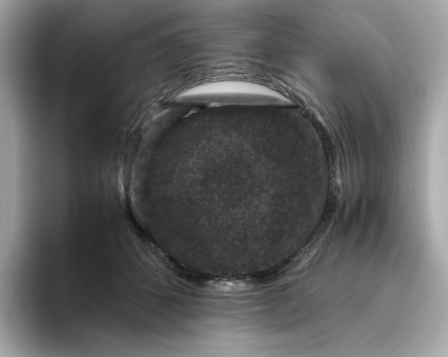 X0000094780512200711301549
