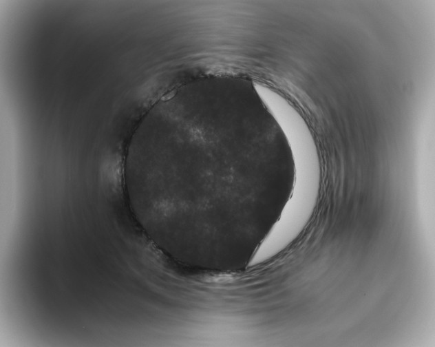 X0000094780513200711301549