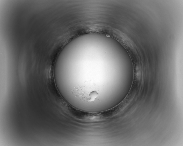 X0000094780514200711301549