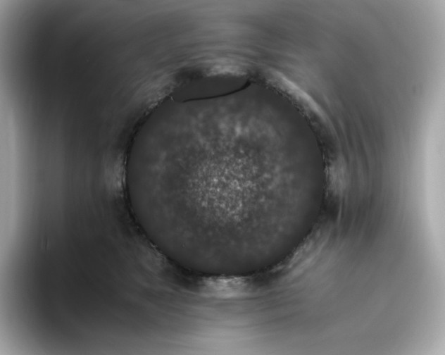 X0000094780517200711301549