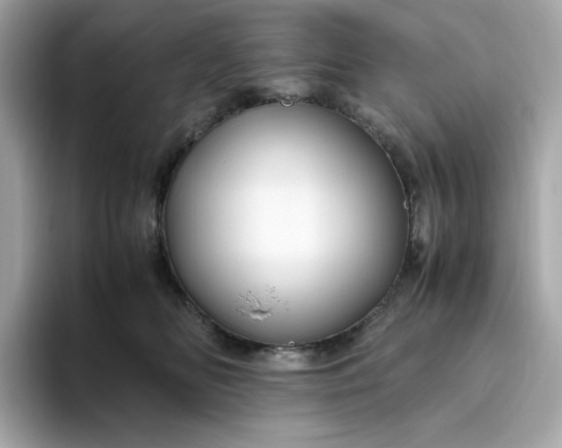 X0000094780518200711301549