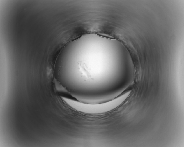 X0000094780521200711301549
