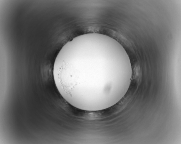 X0000094780522200711301549