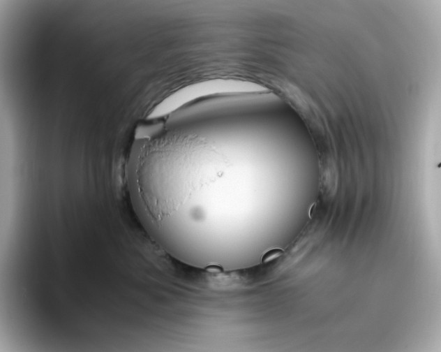 X0000094780525200711301549
