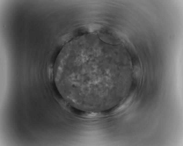 X0000094780527200711301548