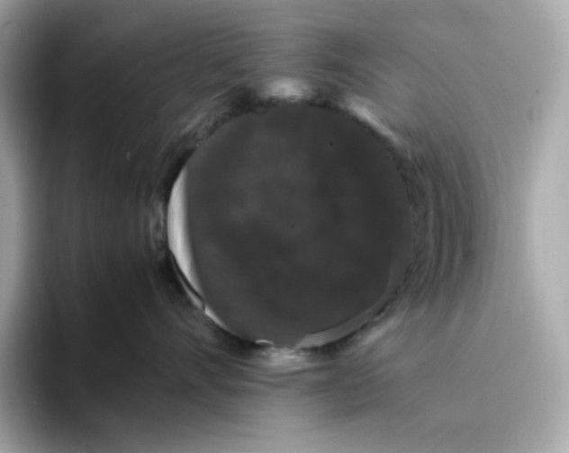X0000094780528200711301548